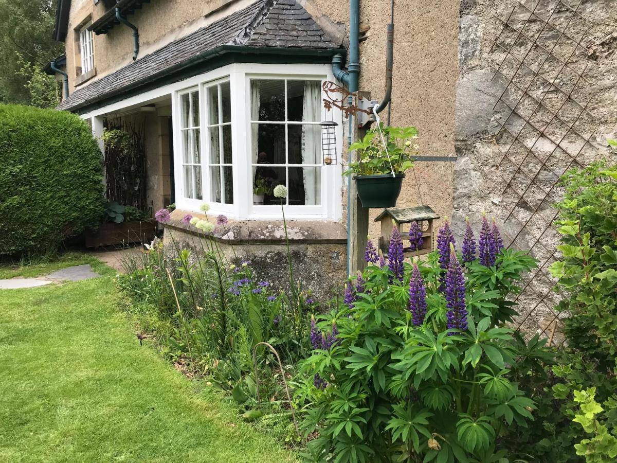 Rowan Cottage, Crannachcottages Garve Zewnętrze zdjęcie