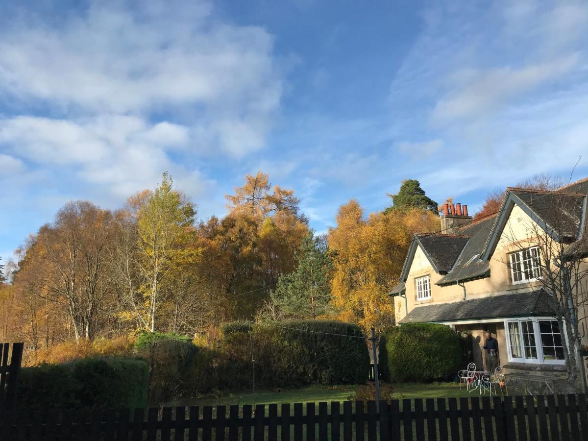 Rowan Cottage, Crannachcottages Garve Zewnętrze zdjęcie