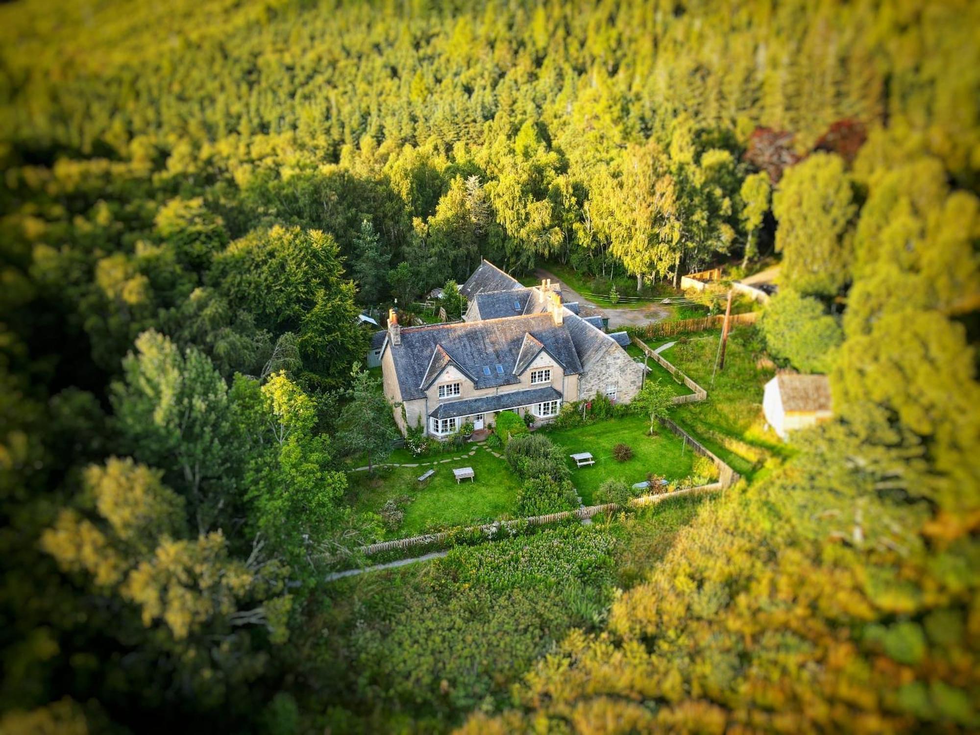 Rowan Cottage, Crannachcottages Garve Zewnętrze zdjęcie